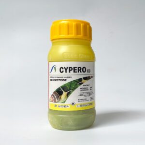 سيبيرو (السعر للكرتونة)