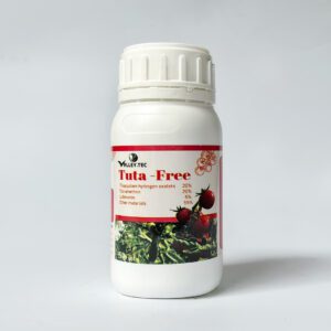 توتا فرى (السعر للكرتونة)