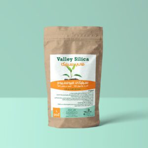 فالى سيليكا