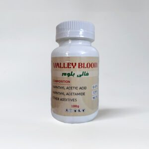 فالي بلوم ( السعر للكرتونة )